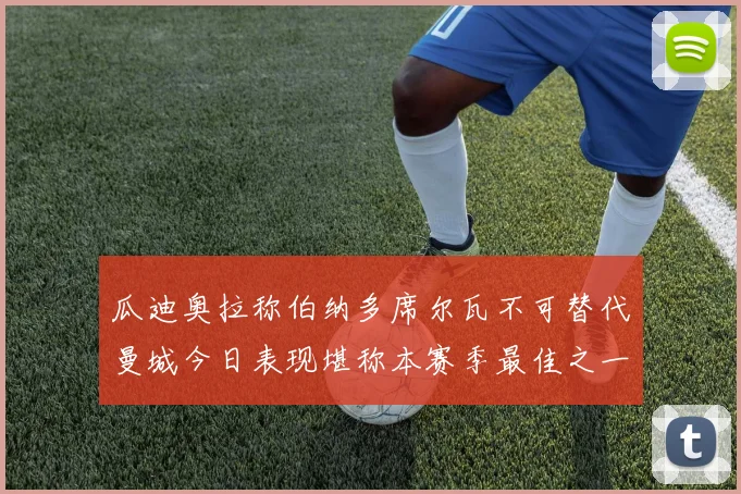 瓜迪奥拉称伯纳多席尔瓦不可替代曼城今日表现堪称本赛季最佳之一