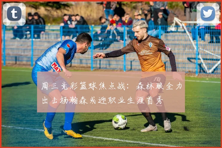 周三竞彩篮球焦点战：森林狼全力出击杨瀚森或迎职业生涯首秀
