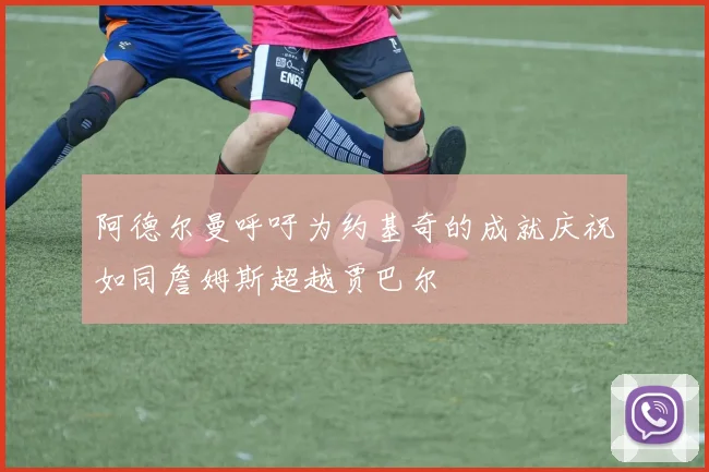 阿德尔曼呼吁为约基奇的成就庆祝如同詹姆斯超越贾巴尔