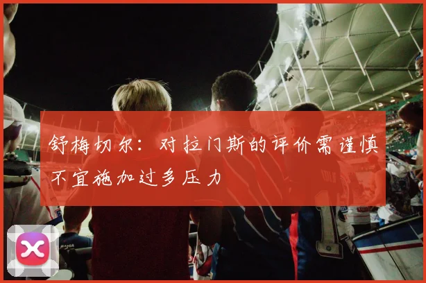 舒梅切尔：对拉门斯的评价需谨慎不宜施加过多压力