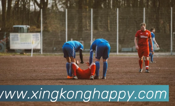 App Interface Preview